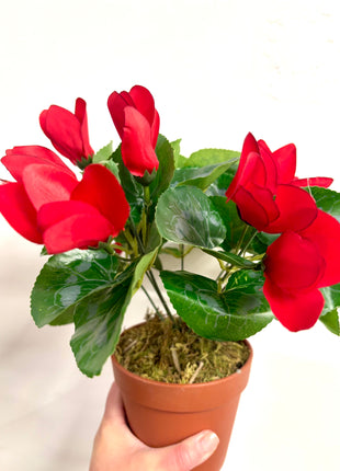 Faux red cyclamen