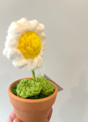 Knitted Daisy