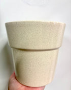 Cream Rimmed Pot