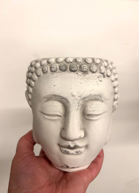 Buddha Pot