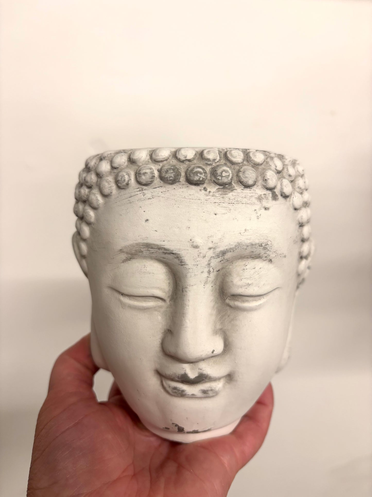 Buddha Pot