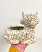 Highland cow pot