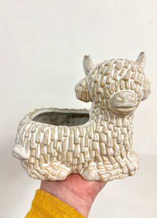 Highland cow pot