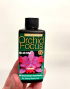 Orchid Focus Bloom
