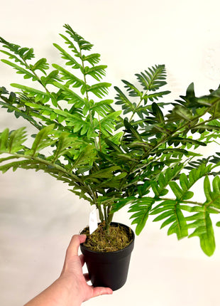 Faux Fern plant