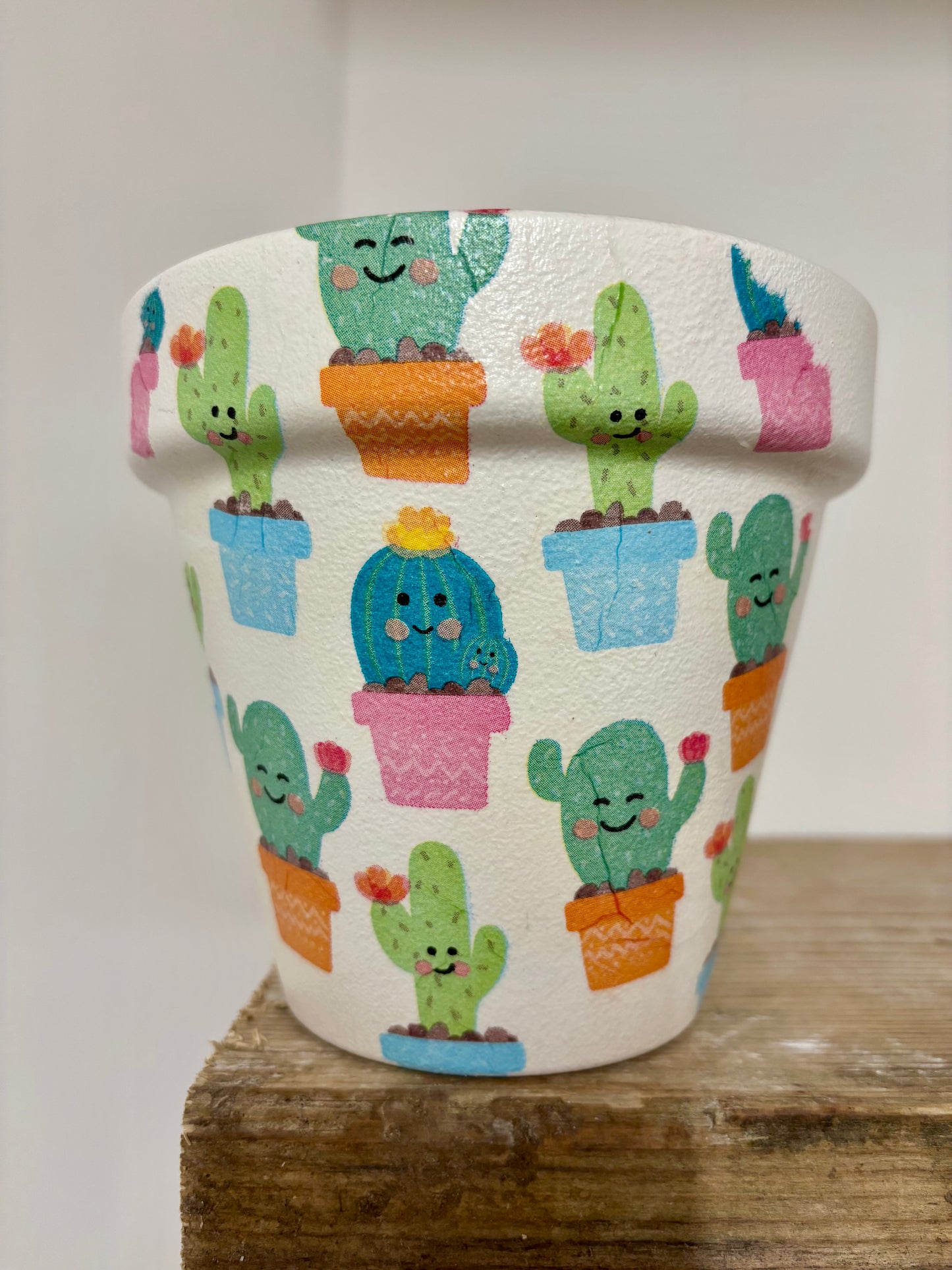 Cactus Pot