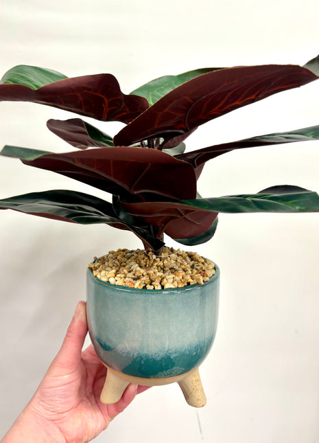 Faux Ficus