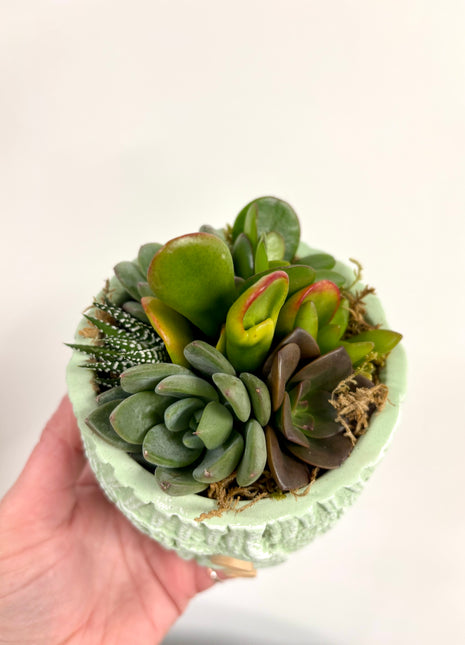 Knitted Green potted succulent