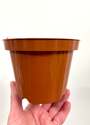 Nursery re-potting pot 12cm