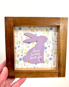 Some bunny frame