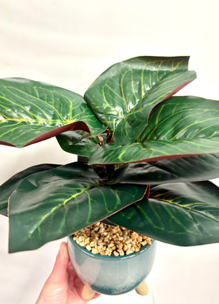 Faux Ficus