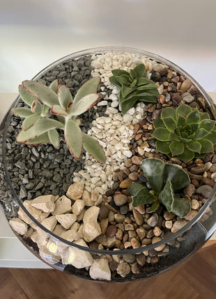 Terrarium workshop