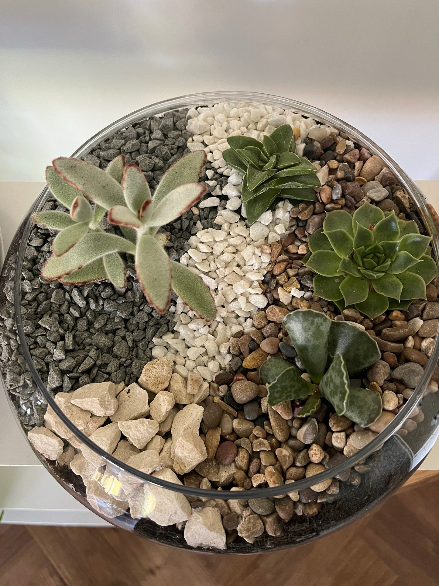Terrarium workshop
