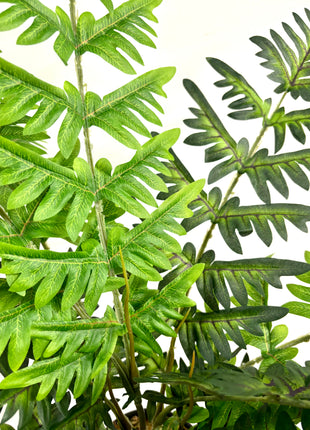 Faux Fern plant