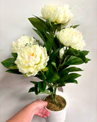 Faux Peony potted