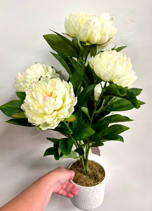 Faux Peony potted