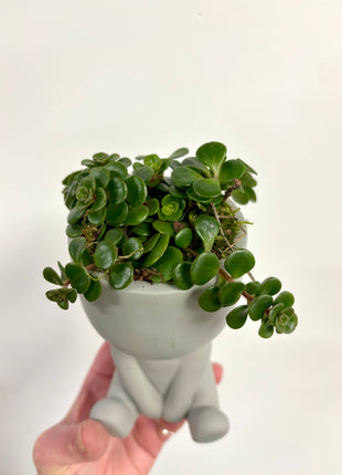 Sitting pots