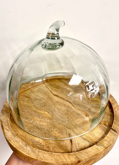 Pumpkin cake plate glass dome