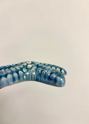 Starfish blue