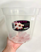 Orchid Pot Clear 21cm