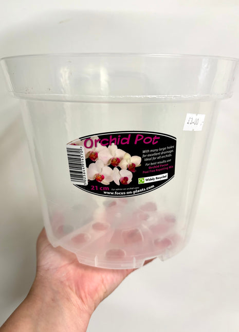 Orchid Pot Clear 21cm