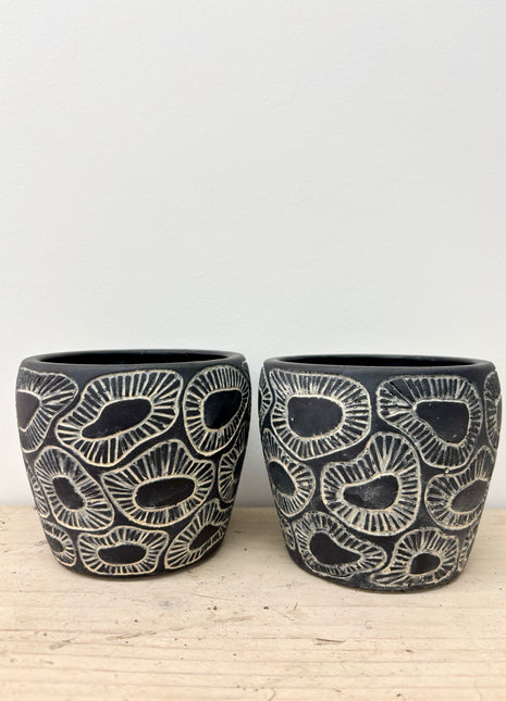 Black fossil pot