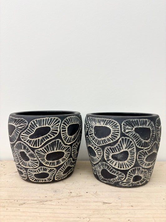 Black fossil pot