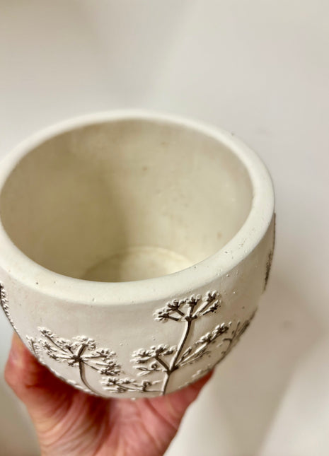 3D Cream/Grey pot