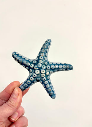 Starfish blue