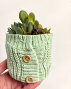 Knitted Green potted succulent