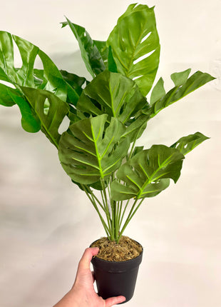Faux Monstera