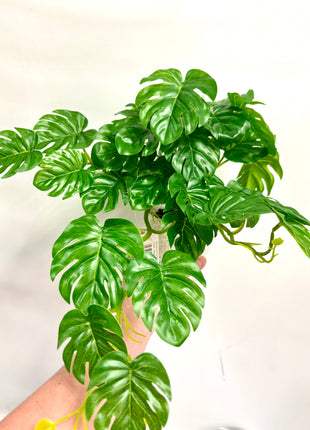 Faux monstera