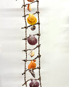 Shell ladder