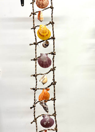 Shell ladder