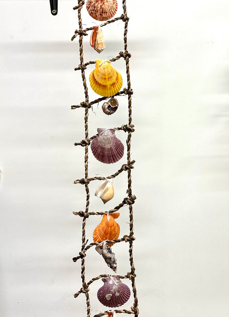 Shell ladder