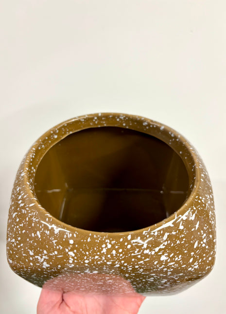 Square brown pot