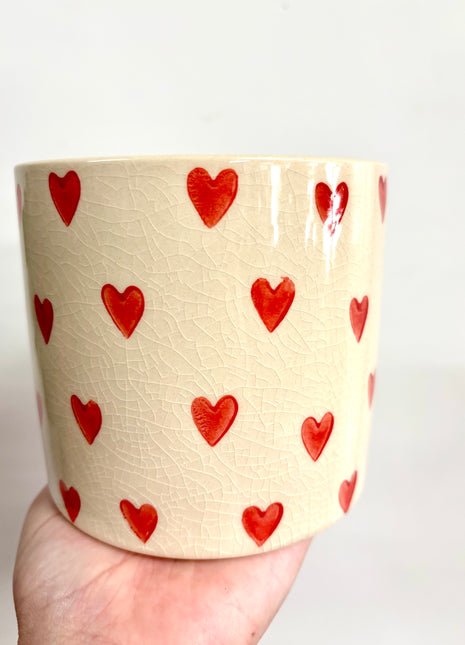 Red heart plant pot small