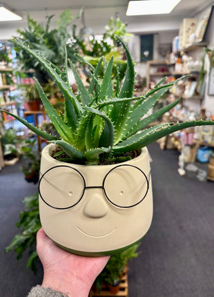 Face pot with glasses