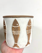 Fish plant pot
