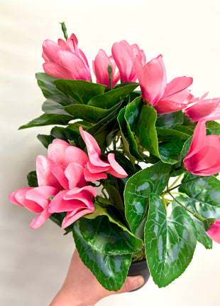 Faux Cyclamen