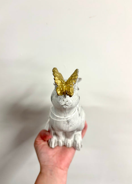 Rabbit with butterfly