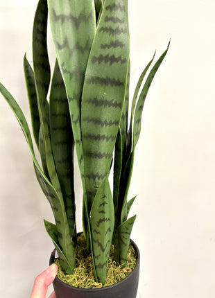 Faux Sansevieria