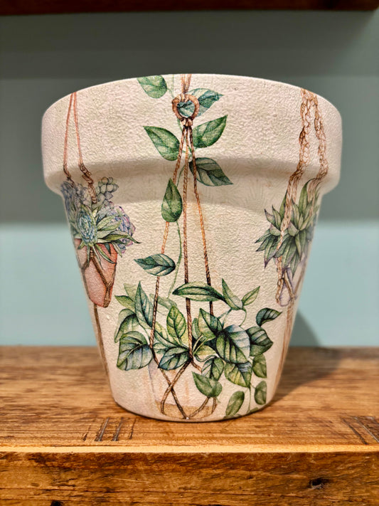 Houseplant Pot