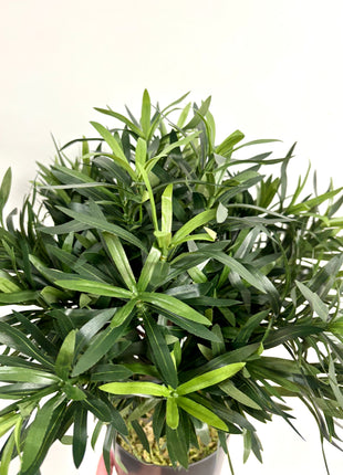 Faux tree potted
