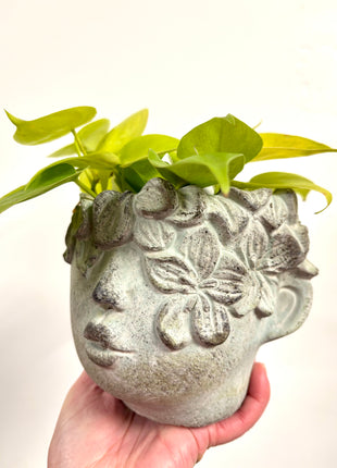 Lady concrete head pot