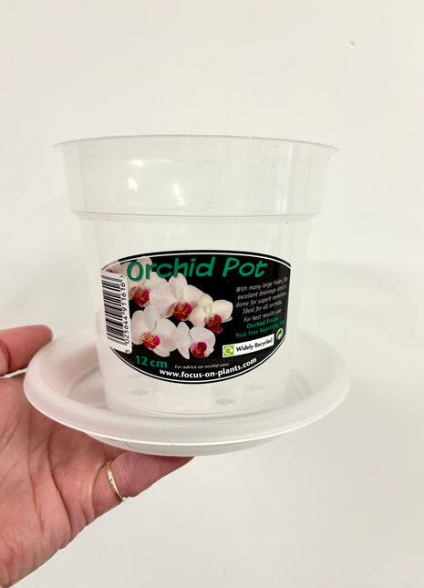 Clear pot saucer - 15cm