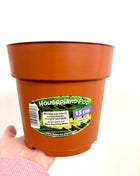 Nursery re-potting pot 27cm
