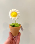 Knitted Daisy