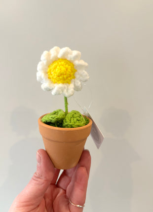 Knitted Daisy