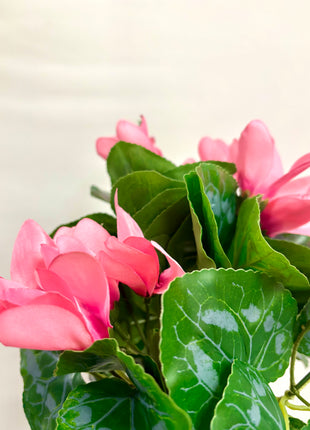 Faux Cyclamen